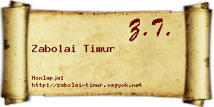 Zabolai Timur névjegykártya